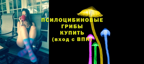 хмурый Нефтекумск