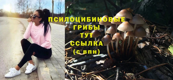mix Белокуриха