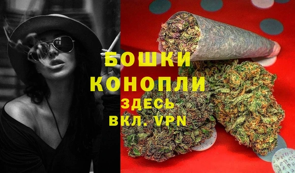 ГАЛЛЮЦИНОГЕННЫЕ ГРИБЫ Беломорск