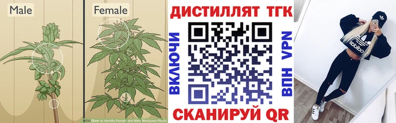 Дистиллят ТГК жижа Вытегра