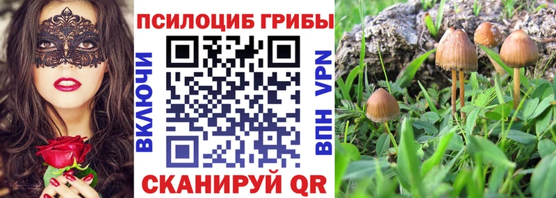 Галлюциногенные грибы Cubensis Вытегра